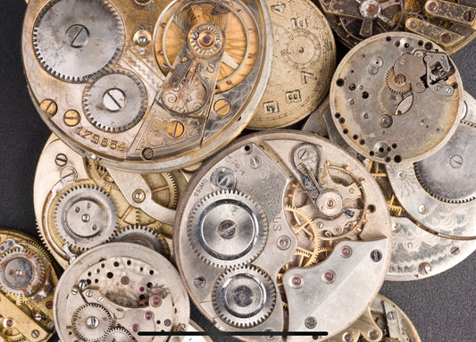 WTC “PARTNER” Membership